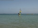 My Gallery (50/205)